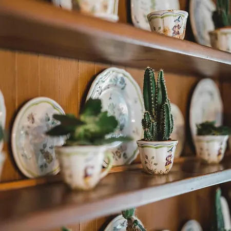 Appartement Turquino - Adlerhorst By Interhome Zermatt