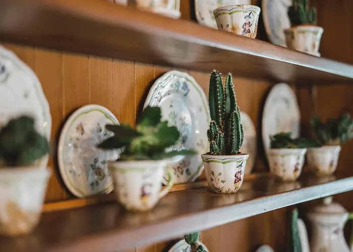 公寓 Turquino - Adlerhorst By Interhome 采尔马特