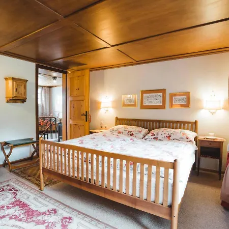 Lägenhet Turquino - Adlerhorst By Interhome Zermatt